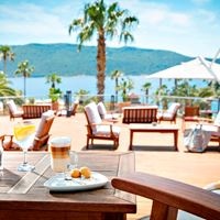 ბარი preview