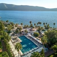 ყველა preview