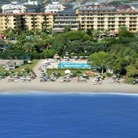 ყველა preview