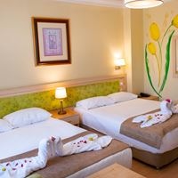 ნომრები preview