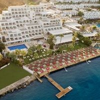 ყველა preview