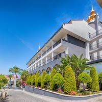 ყველა preview