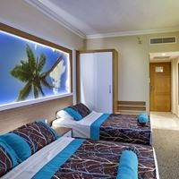 ნომრები preview