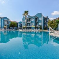 ყველა preview