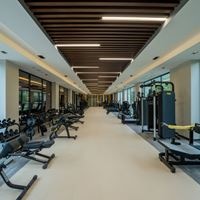 სპორტი preview