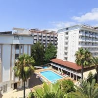 ყველა preview