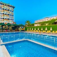 ყველა preview