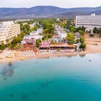 ყველა preview