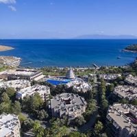 ყველა preview