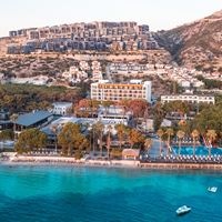 ყველა preview