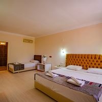 ნომრები preview