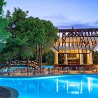 ბარი preview