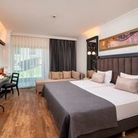 ნომრები preview