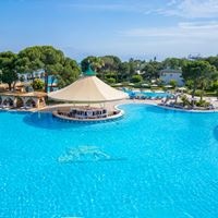 ბარი preview