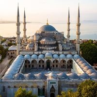 ყველა preview