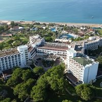 ყველა preview