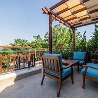 ნომრები preview