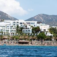 ყველა preview