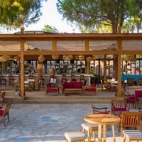 ბარი preview