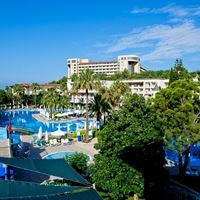 ყველა preview