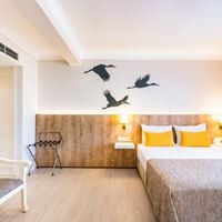 ნომრები preview