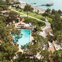 ყველა preview