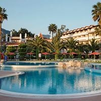 ყველა preview