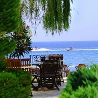 ბარი preview