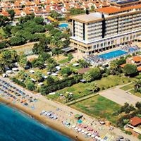 ყველა preview