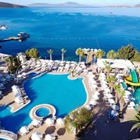 ყველა preview