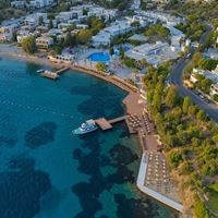 ყველა preview