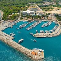 ყველა preview