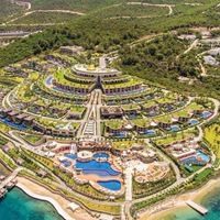 ყველა preview