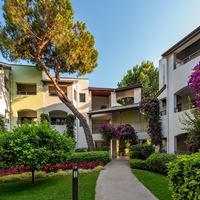 ნომრები preview