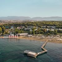 ყველა preview