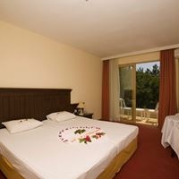 ნომრები preview