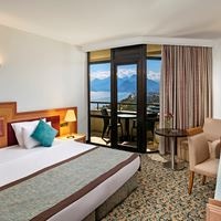 ნომრები preview