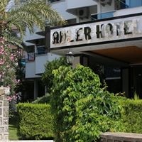 ყველა preview