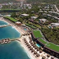 ყველა preview