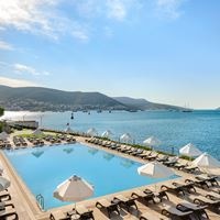 აუზები preview