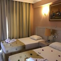 ნომრები preview