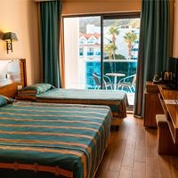 ნომრები preview