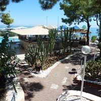 ბარი preview