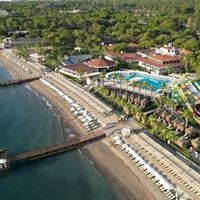 ყველა preview