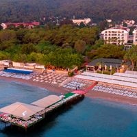 ყველა preview