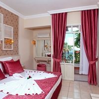 ნომრები preview