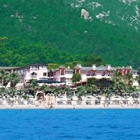 ყველა preview