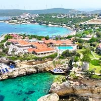 ყველა preview