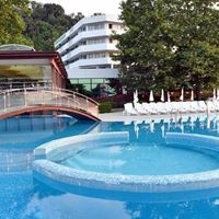 აუზები preview