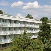 ყველა preview